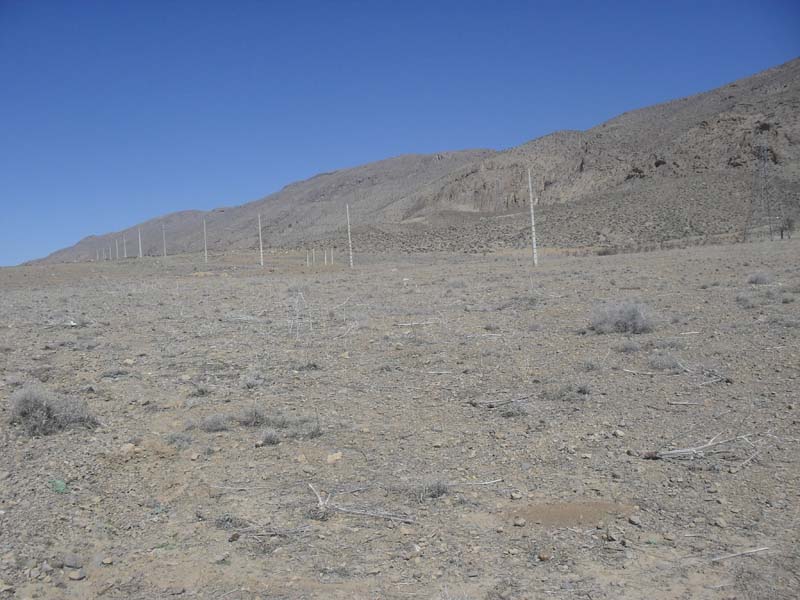 slide-f145459